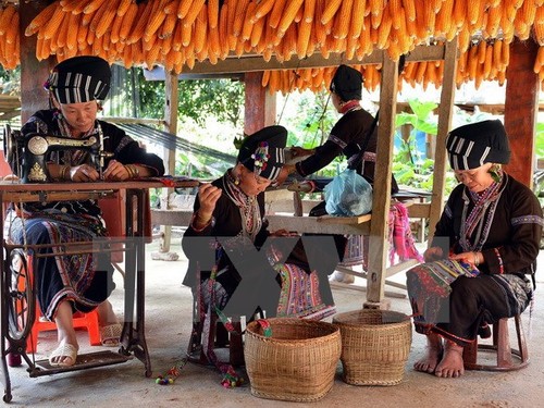 Превращение провинции Лаокай в крупнейший во Вьетнаме центр природного туризма и культуры - ảnh 1
